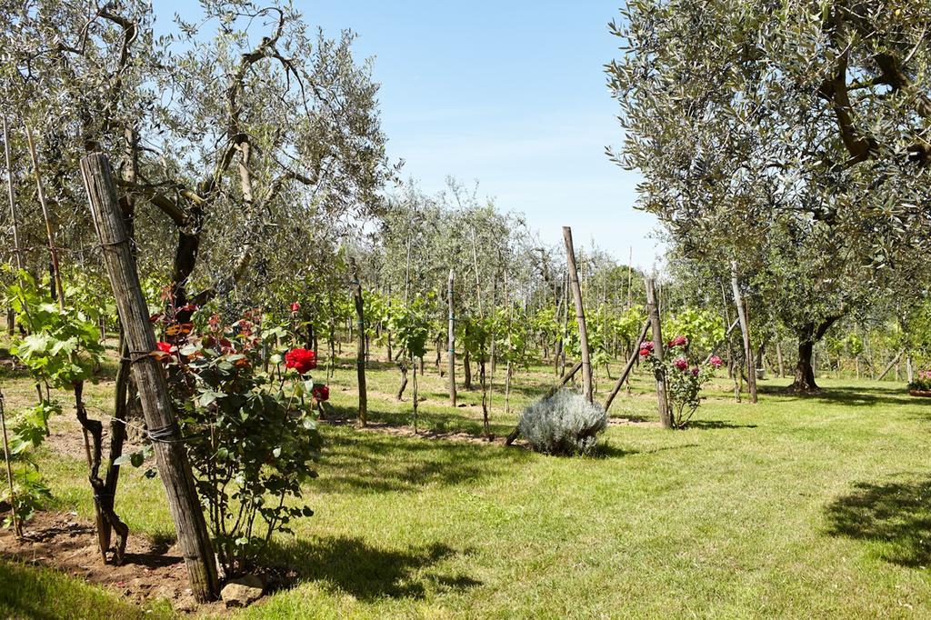 Podere La Casuccia Malmantile Szoba fotó