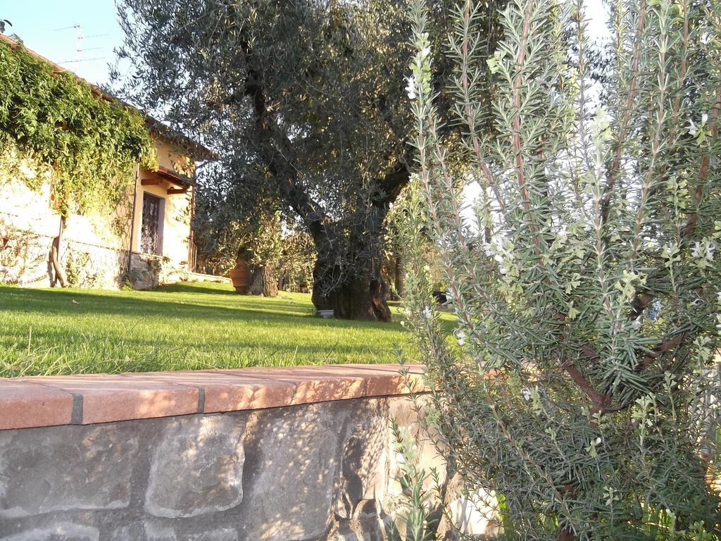 Podere La Casuccia Malmantile Szoba fotó
